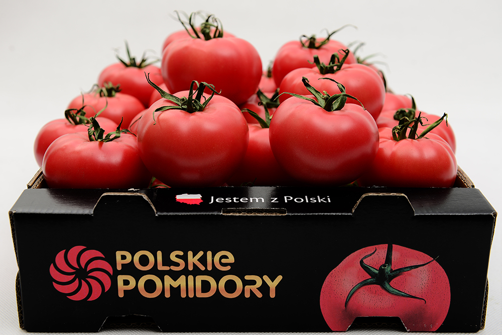 Pomidor 3