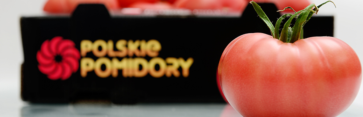 Pomidory 1